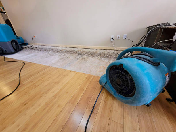 Reliable Burst Pipe Water Damage contractor in West Jefferson, NC by Hirex Water Damage